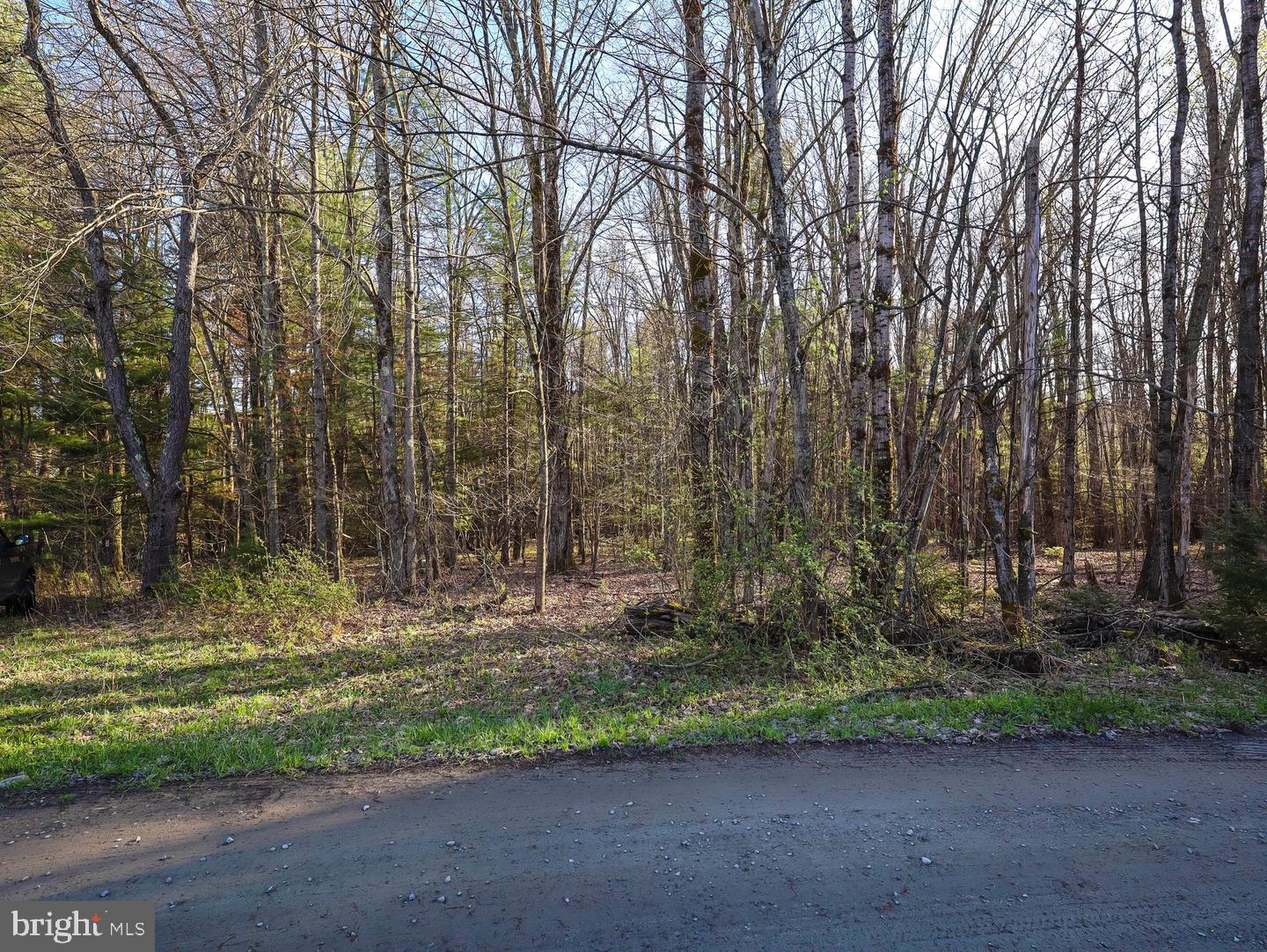 7 Twin Lakes Road Brackney, PA 18812 - Photo 9 of 36 Gallery Image 9