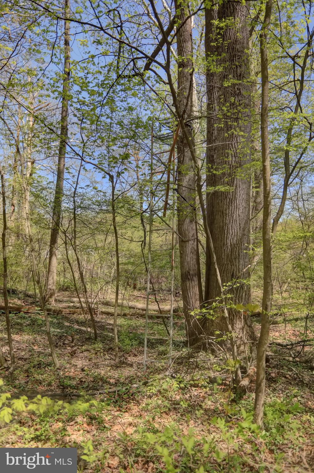 1065 Back Hollow Road Blain, PA 17006 - Photo 27 of 38 Gallery Image 27