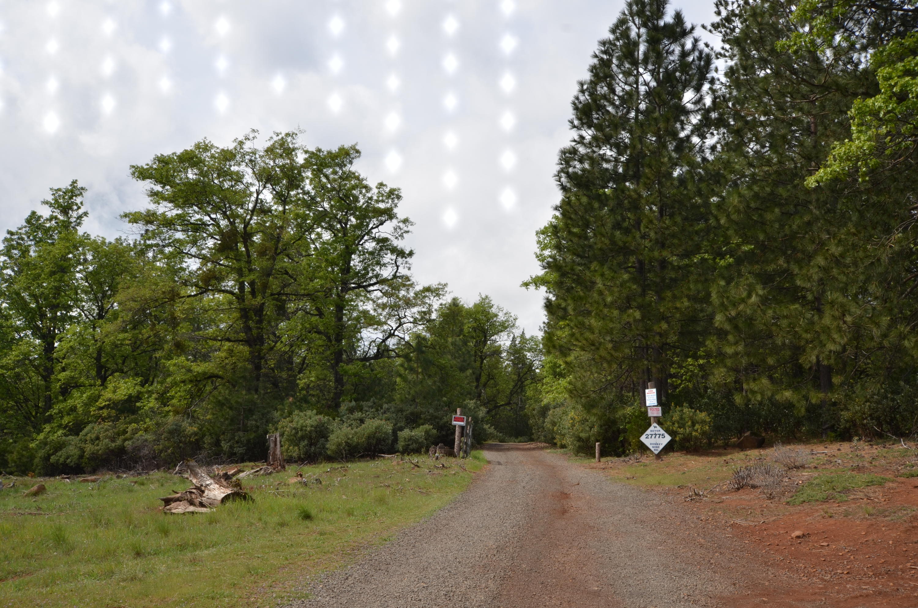 27727 Donkey Mine Road Oak Run, CA 96069 - Photo 2 of 16 Donkey Mine Road