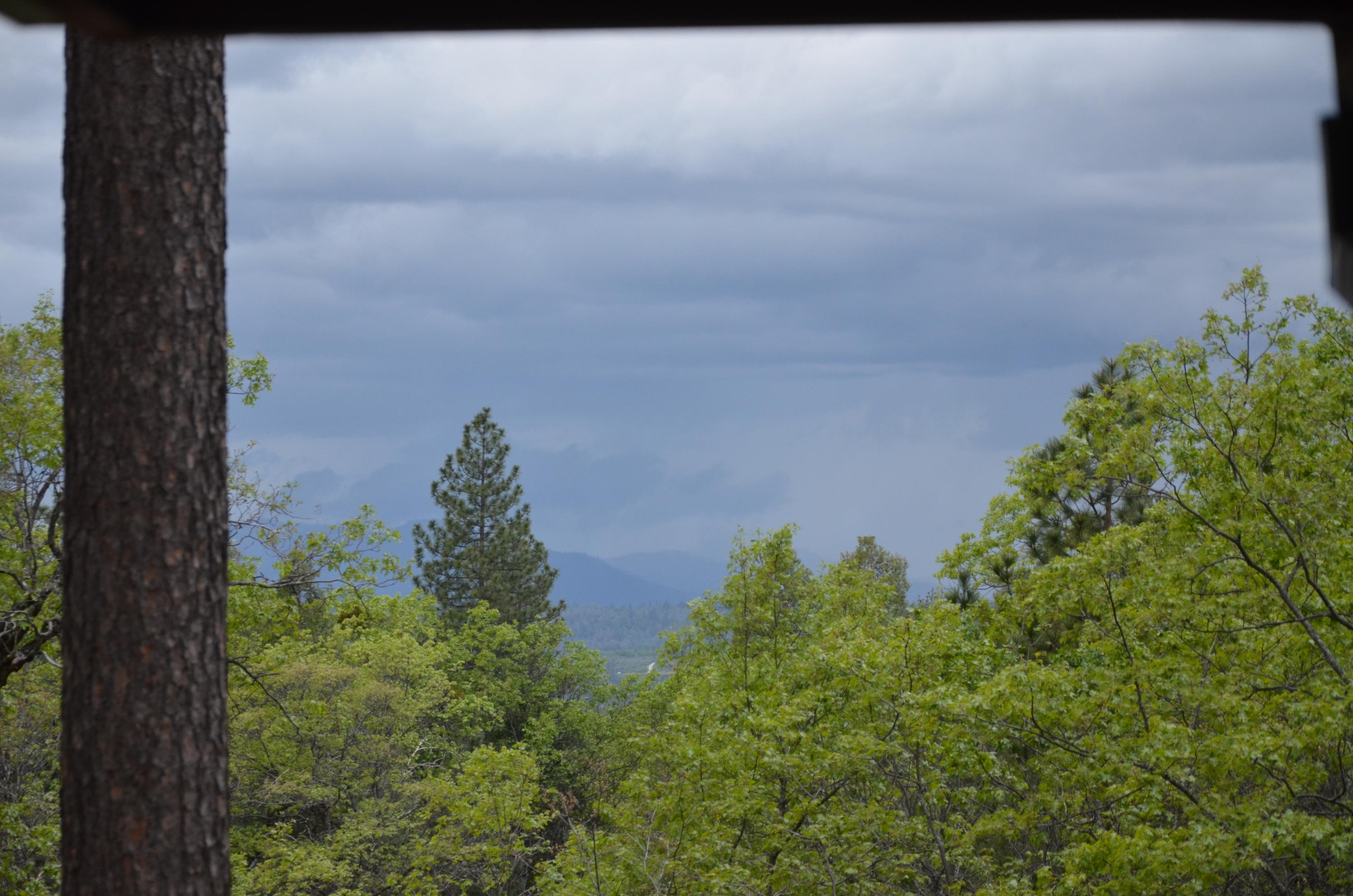 27727 Donkey Mine Road Oak Run, CA 96069 - Photo 9 of 16 Valley View from Deck