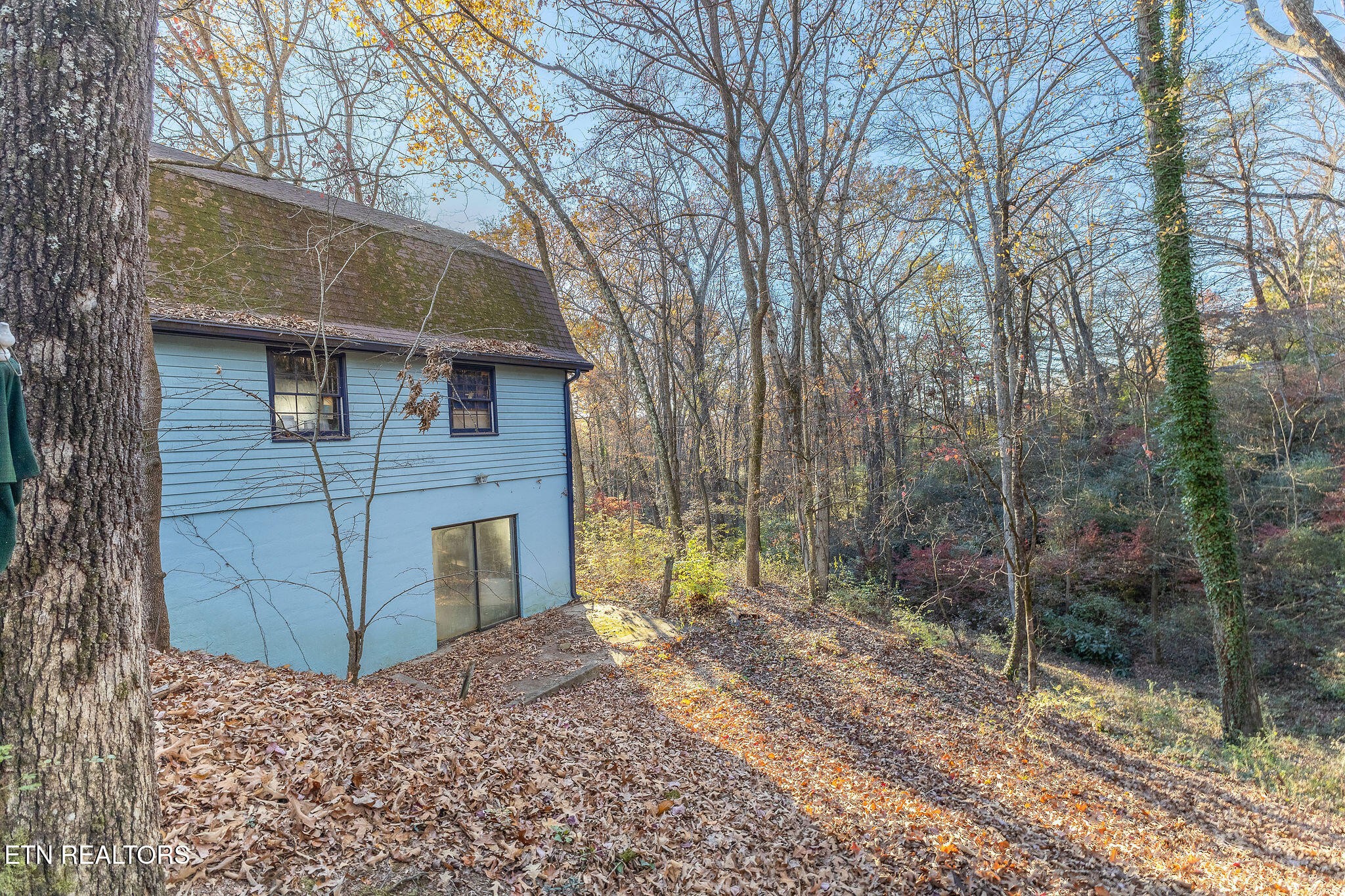 613 Patton Ferry Road Kingston, TN 37763 - Photo 29 of 37 Gallery Image 29
