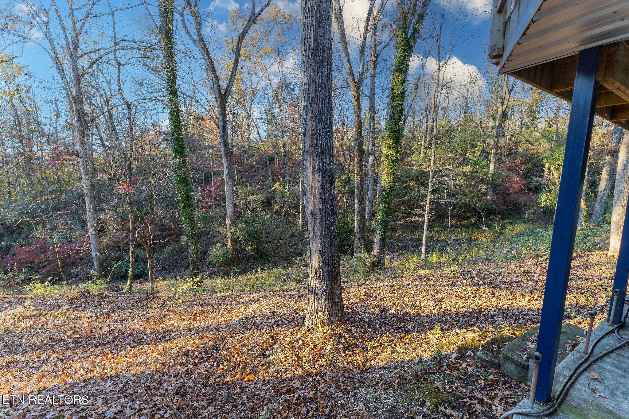 613 Patton Ferry Road Kingston, TN 37763 - Photo 33 of 37 Gallery Image 33