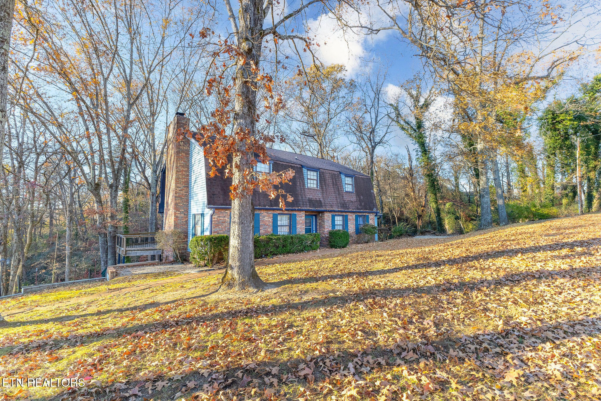 613 Patton Ferry Road Kingston, TN 37763 - Photo 5 of 37 Gallery Image 5