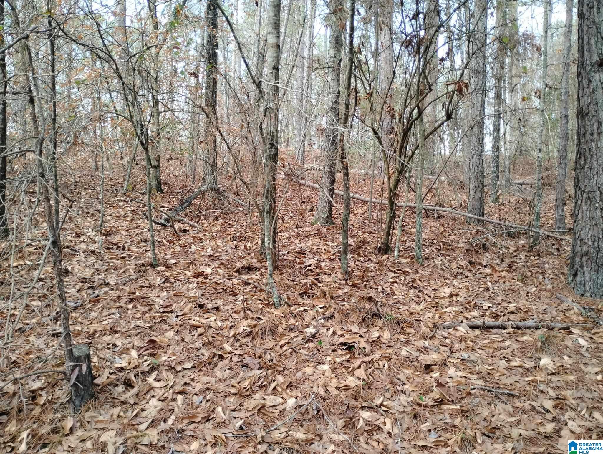 Foster Circle Lineville, AL 36266 - Photo 9 of 14