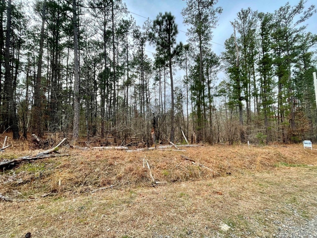 29-30 Zinnia Road Sparta, GA 31087 - Photo 3 of 10 Gallery Image 3