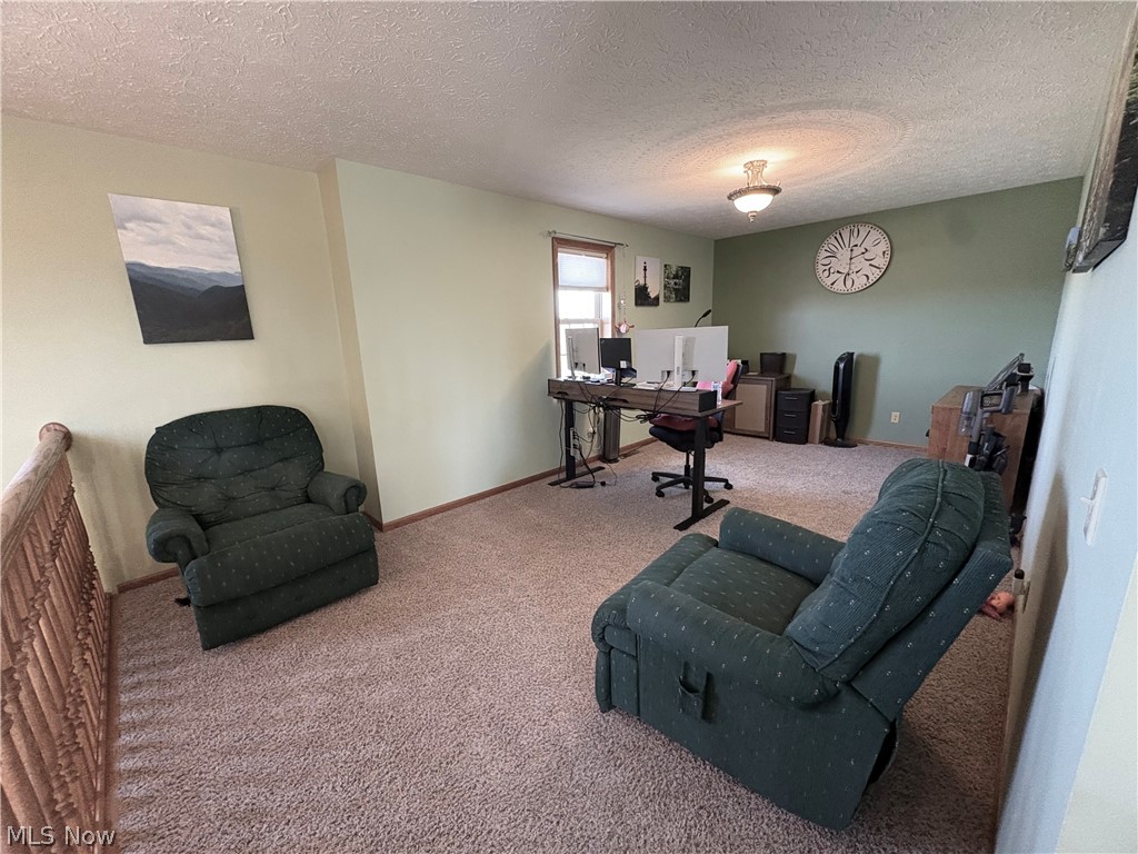 67174 Pancoast Road Belmont, OH 43718 - Photo 35 of 46