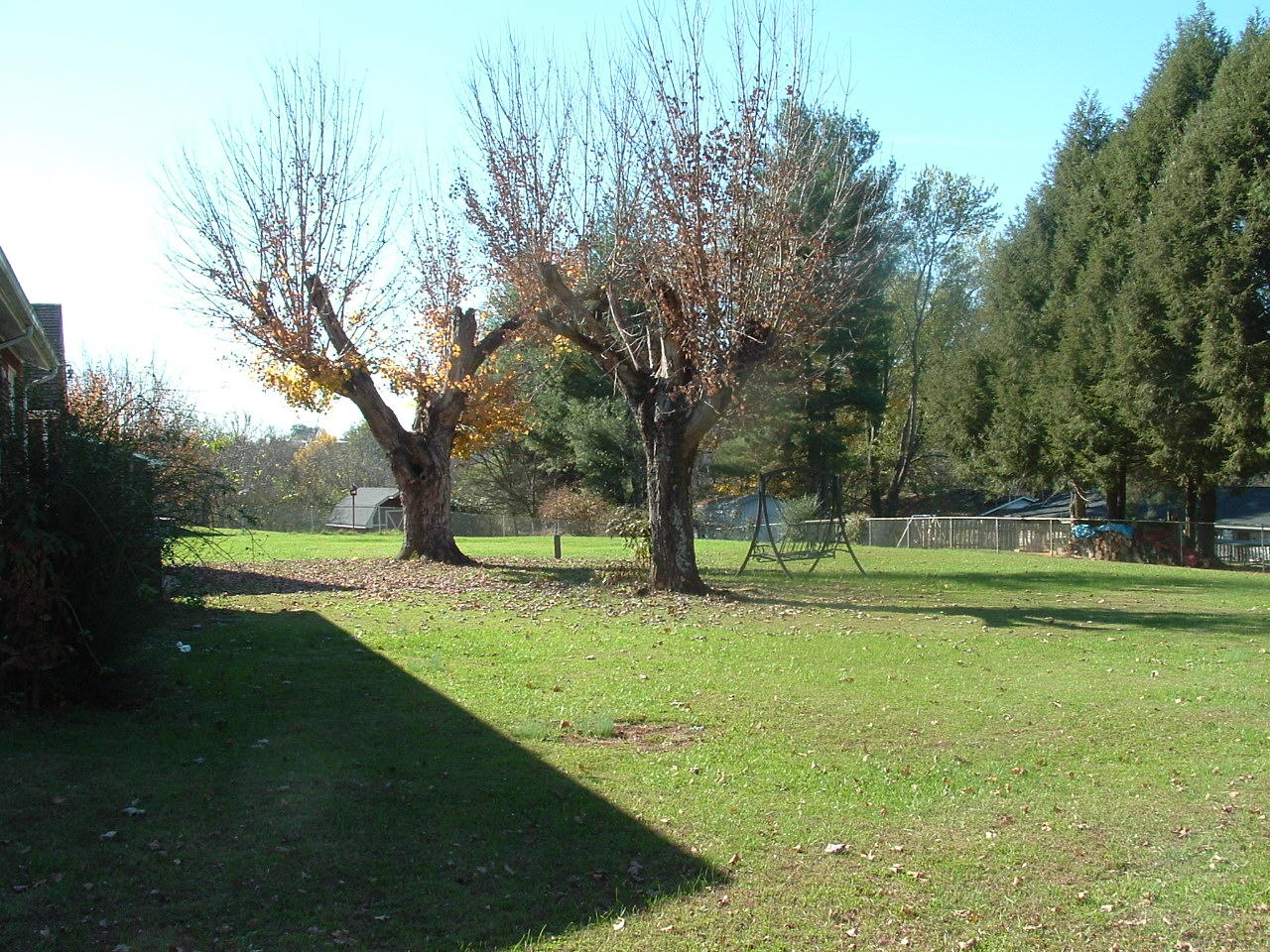 717 West Emory Road Powell, TN 37849 - Photo 24 of 24 back yard