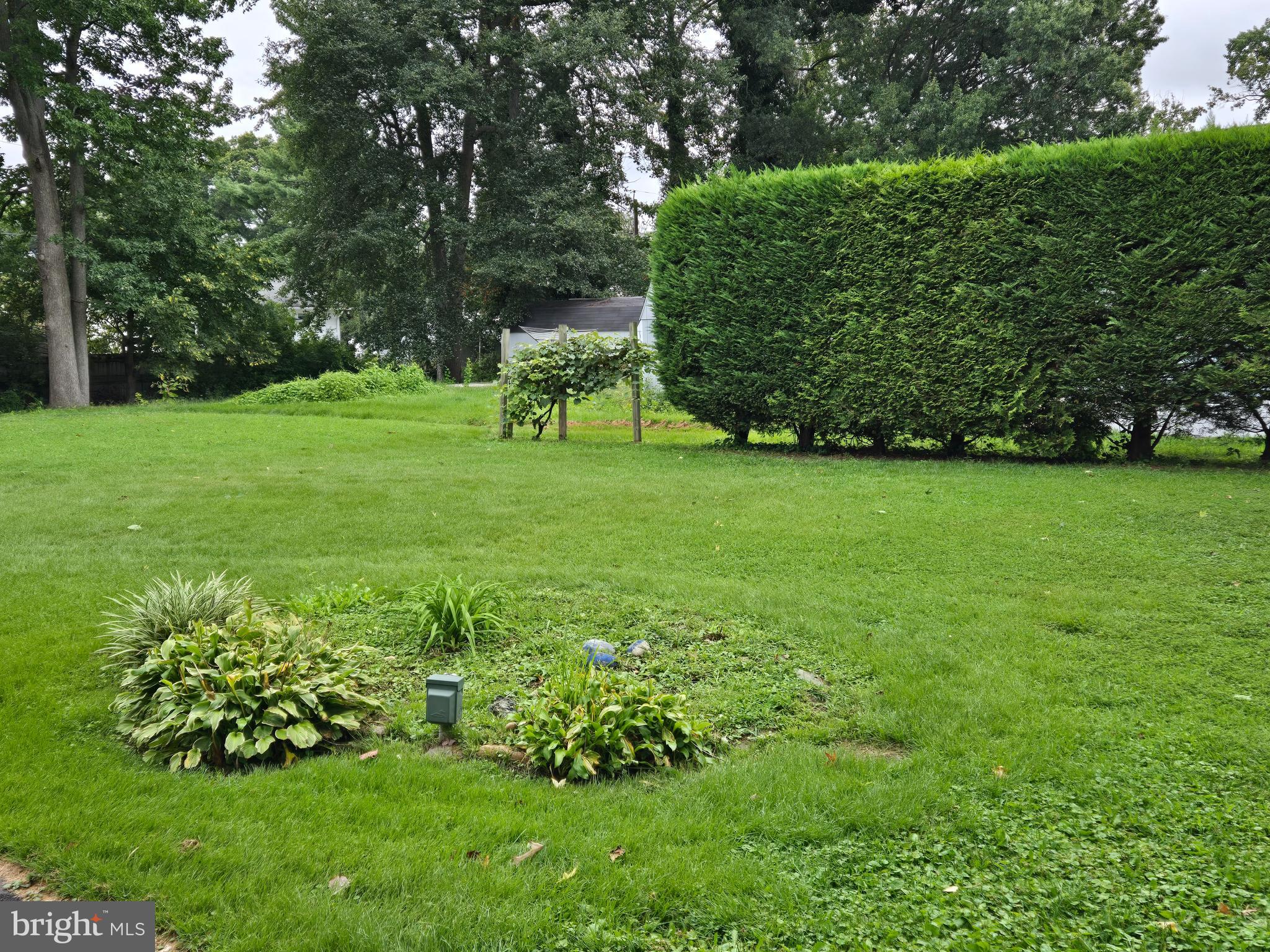 2414 Willoughby Beach Road Edgewood, MD 21040 - Photo 11 of 35 a view of a garden with a bench