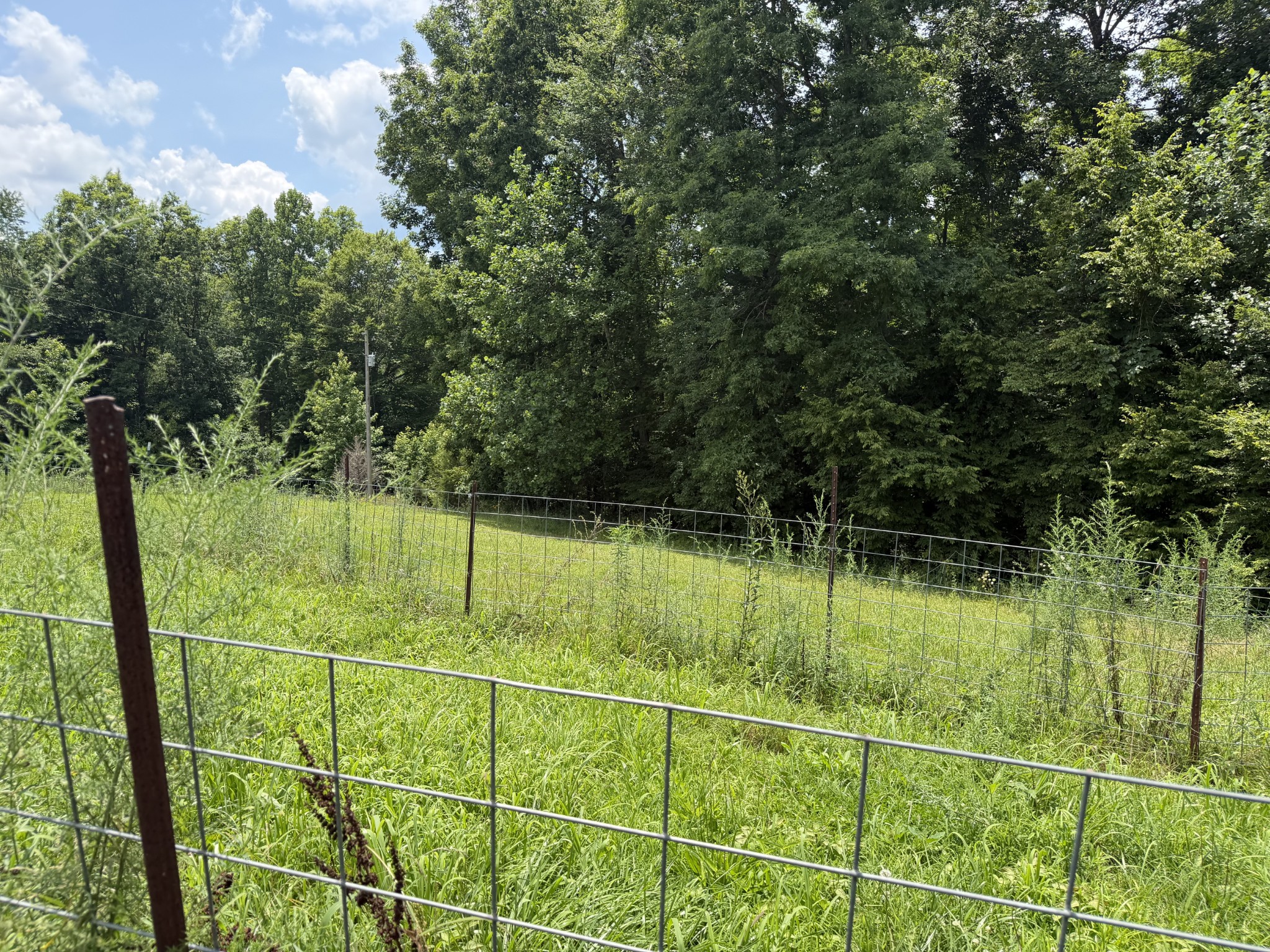 232 Cane Creek Road Hohenwald, TN 38462 - Photo 77 of 91