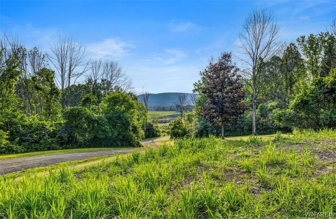 4565 Back River Road Amity, NY 14813 - Photo 35 of 37 Gallery Image 35