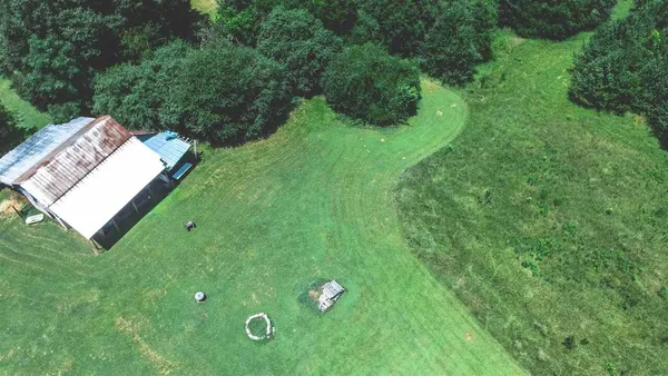 a green field with lots of trees in it