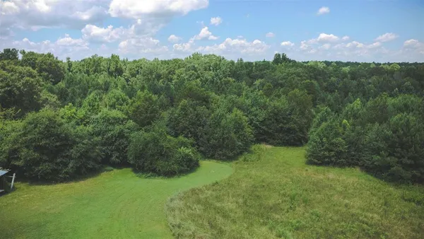 a view of a lush green space