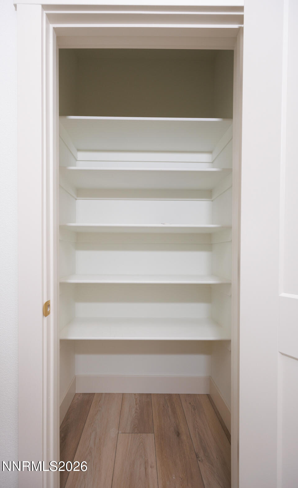 1150 Jungle Drive Fallon, NV 89406 - Photo 9 of 30 a close view of closet