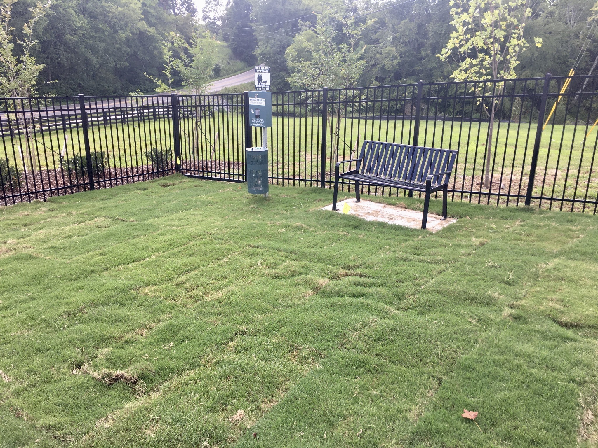 334 Buckner Cir Mount Mount Juliet, TN 37122 - Photo 40 of 40 a view of a yard with a fence and trees