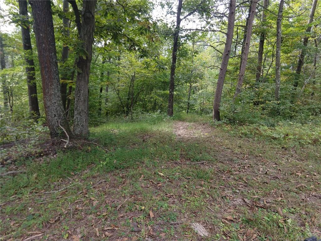 6320 Mt Moriah Road Nineveh, IN 46164 - Photo 14 of 44 Gallery Image 14
