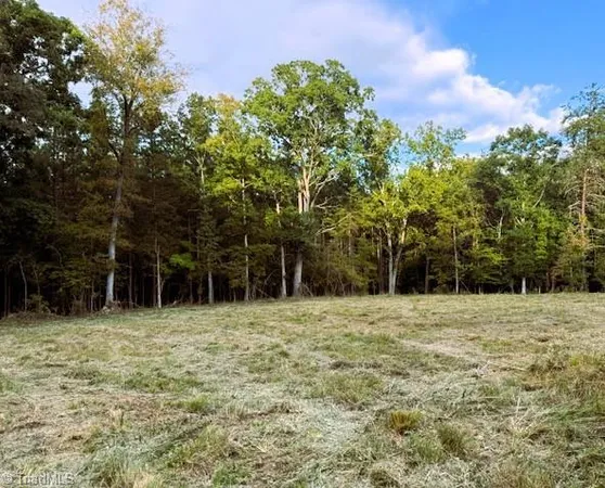 $330,000 | 0 Thayer Road, Trinity, NC 27370