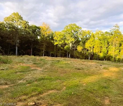 $330,000 | 0 Thayer Road, Trinity, NC 27370
