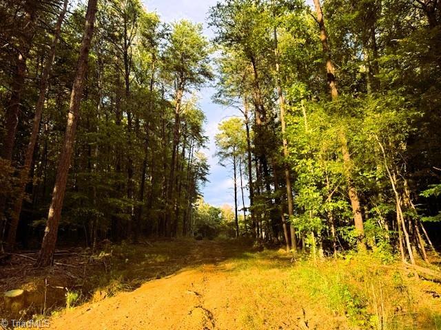 0 Thayer Road Trinity, NC 27370 - Photo 4 of 9