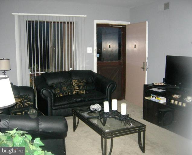 6147 Edsall Road, Unit 6147 Alexandria, VA 22304 - Photo 4 of 10 LR Door to Patio