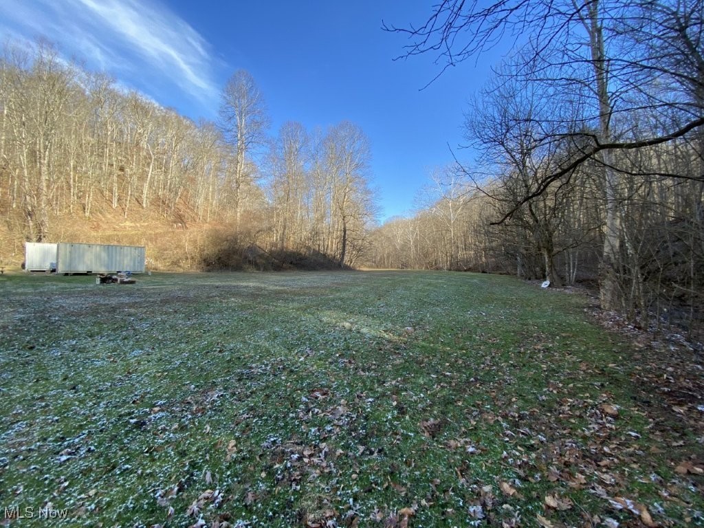 88 Ivy Road Walton, WV 25286 - Photo 9 of 37
