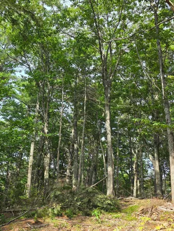 $74,900 | 0 Pinnacle Road, Liberty, ME 04949