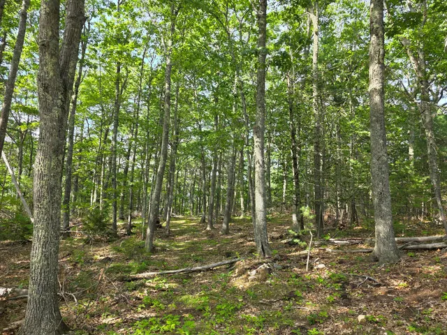 $74,900 | 0 Pinnacle Road, Liberty, ME 04949