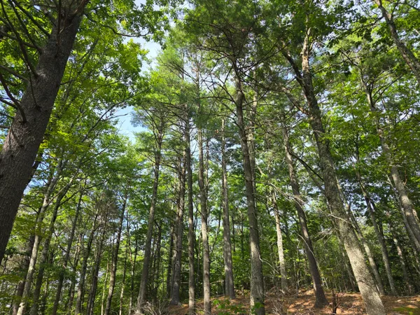 $74,900 | 0 Pinnacle Road, Liberty, ME 04949