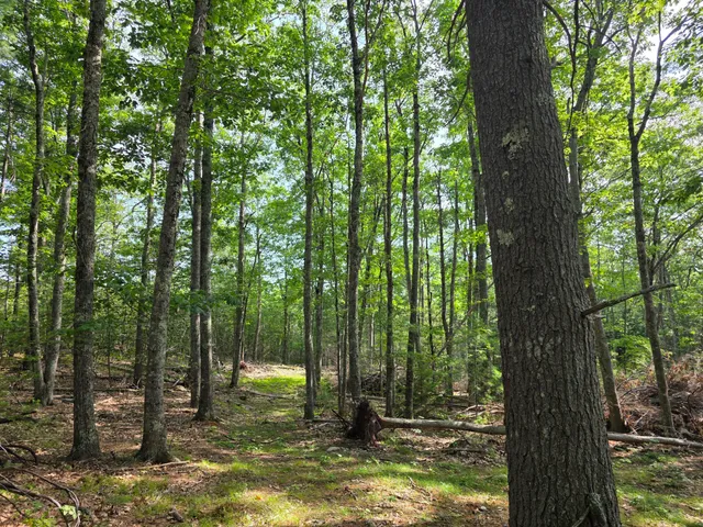 $74,900 | 0 Pinnacle Road, Liberty, ME 04949