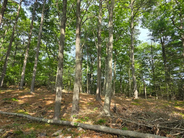 $74,900 | 0 Pinnacle Road, Liberty, ME 04949