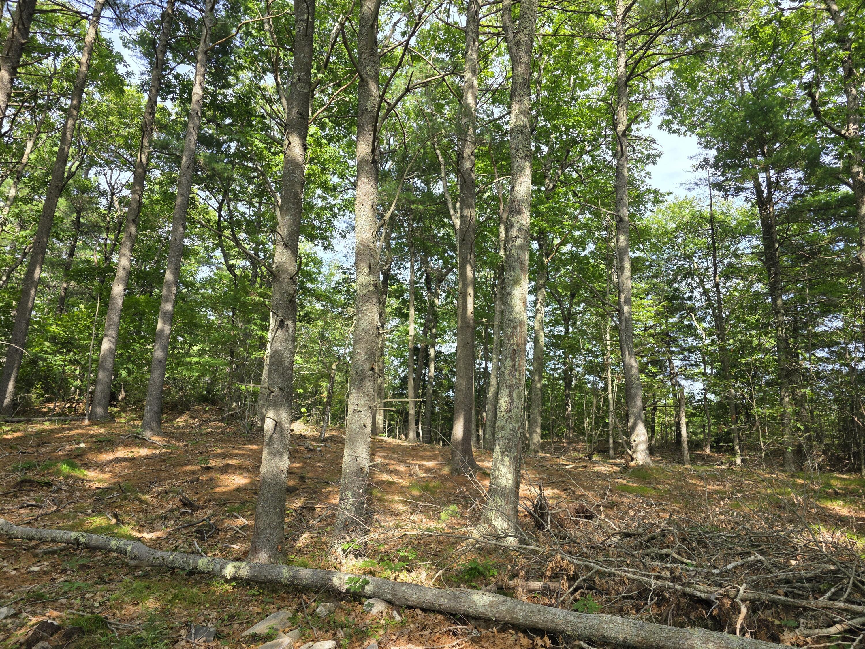 0 Pinnacle Road Liberty, ME 04949 - Photo 6 of 12 1000020450