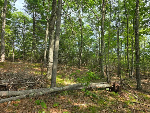 $74,900 | 0 Pinnacle Road, Liberty, ME 04949