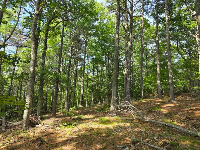 $74,900 | 0 Pinnacle Road, Liberty, ME 04949