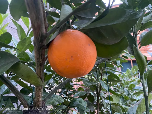 $1,999,990 | 79 Auburn Forest Road, Afton, WY 83110