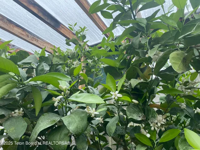 $1,999,990 | 79 Auburn Forest Road, Afton, WY 83110