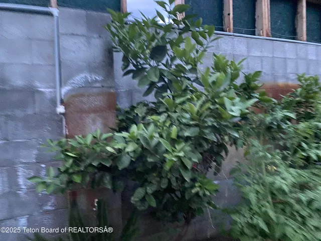 $1,999,990 | 79 Auburn Forest Road, Afton, WY 83110