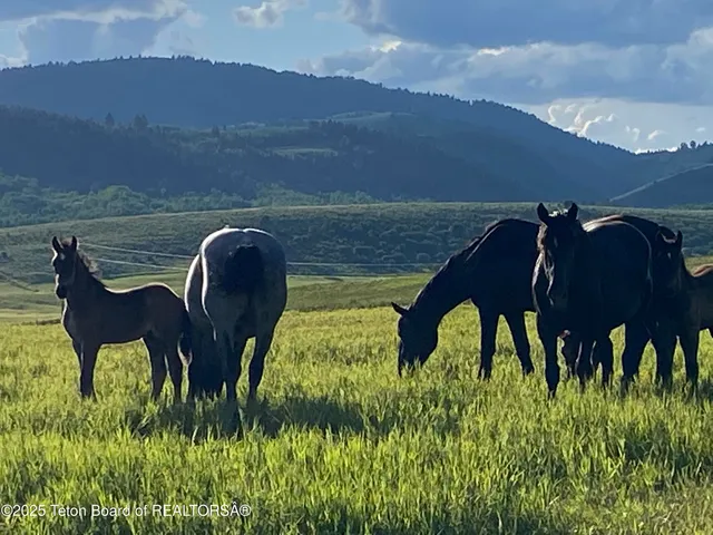$1,999,990 | 79 Auburn Forest Road, Afton, WY 83110