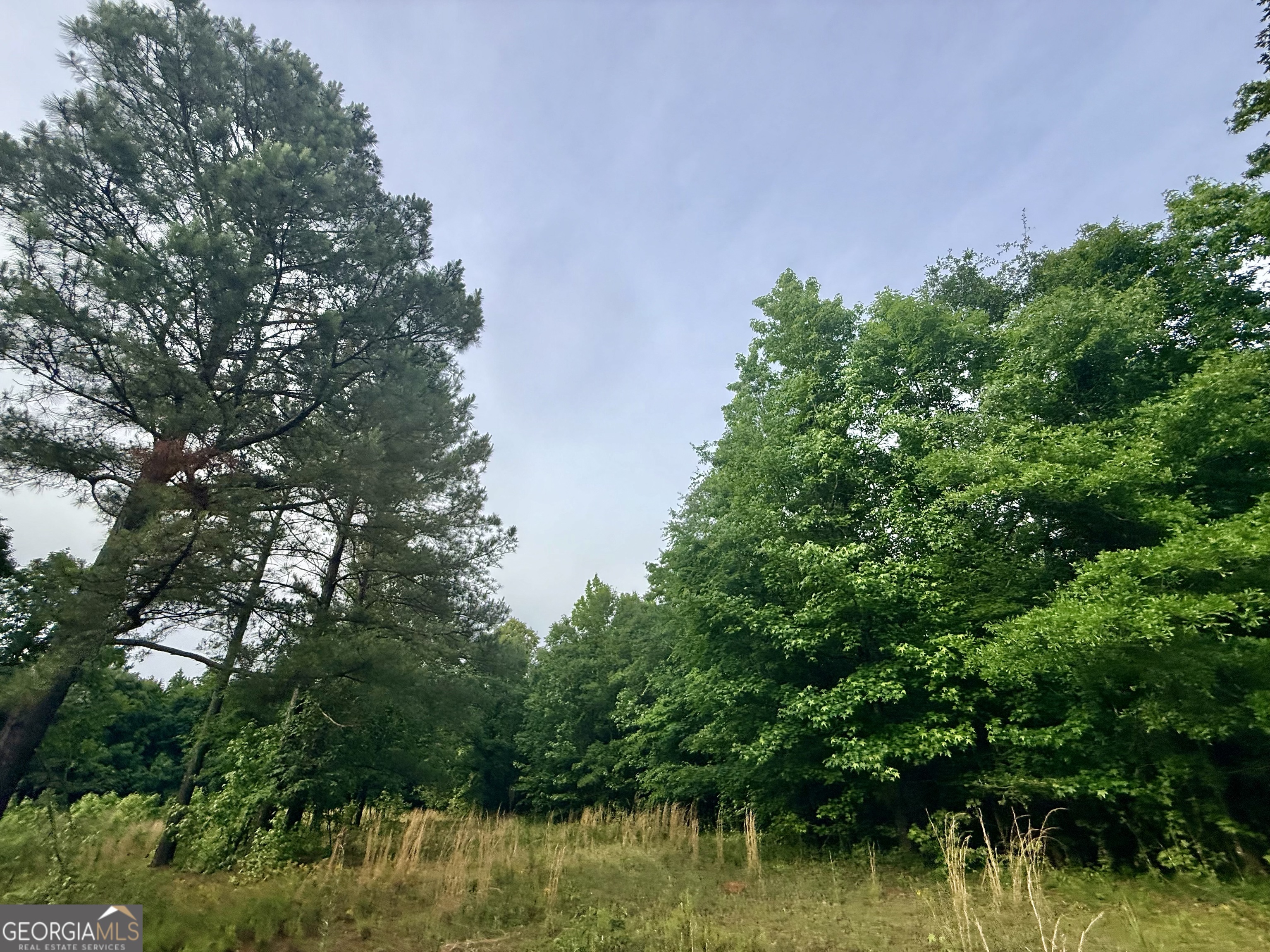 715 Fulsome Creek Road Sparta, GA 31087 - Photo 46 of 117