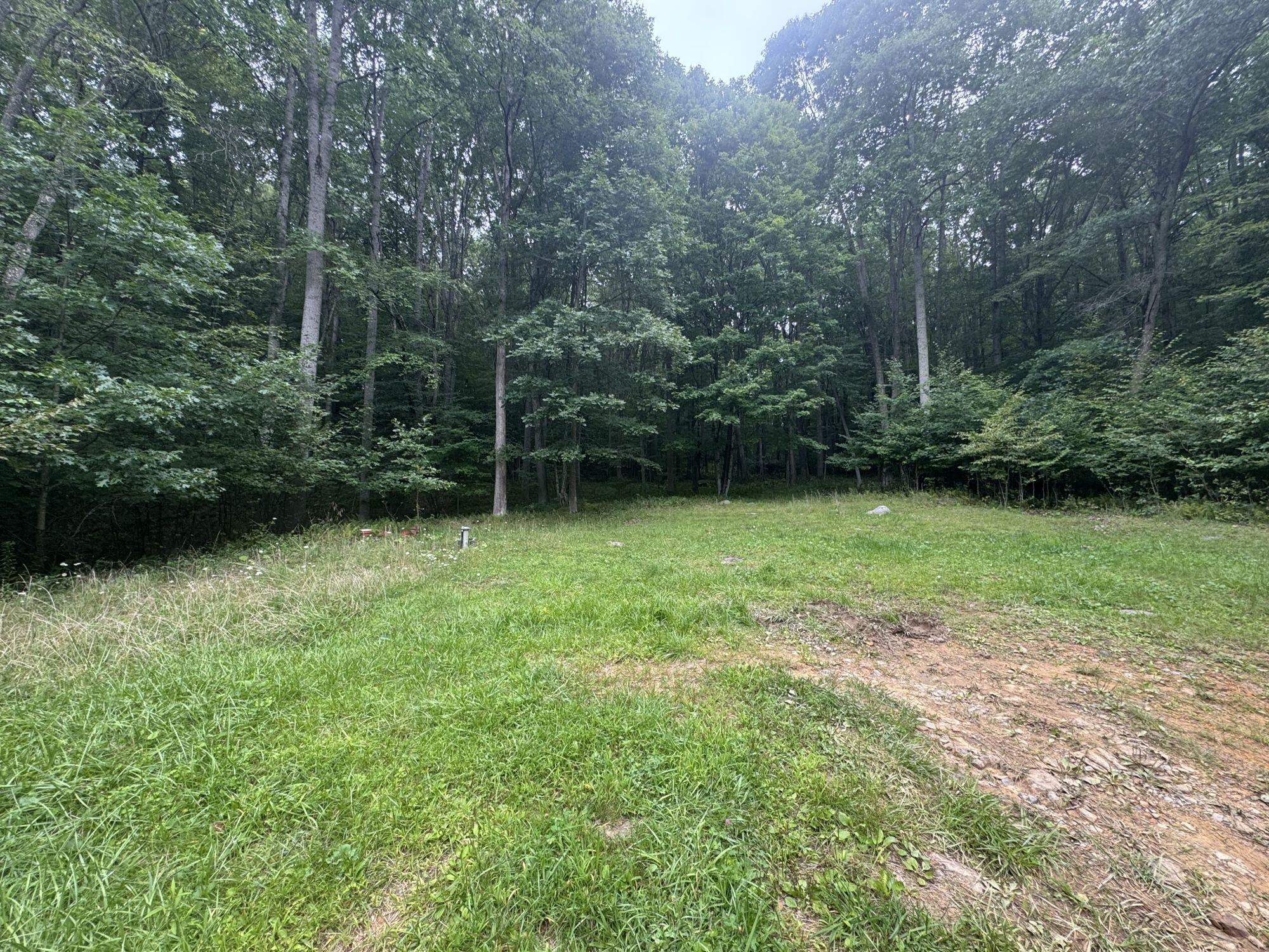 6358 Sewell Creek Road Meadow Bridge, WV 25976 - Photo 12 of 36 Gallery Image 12