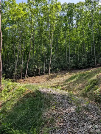 $95,000 | 0 Pisgah Highway, Candler, NC 28715