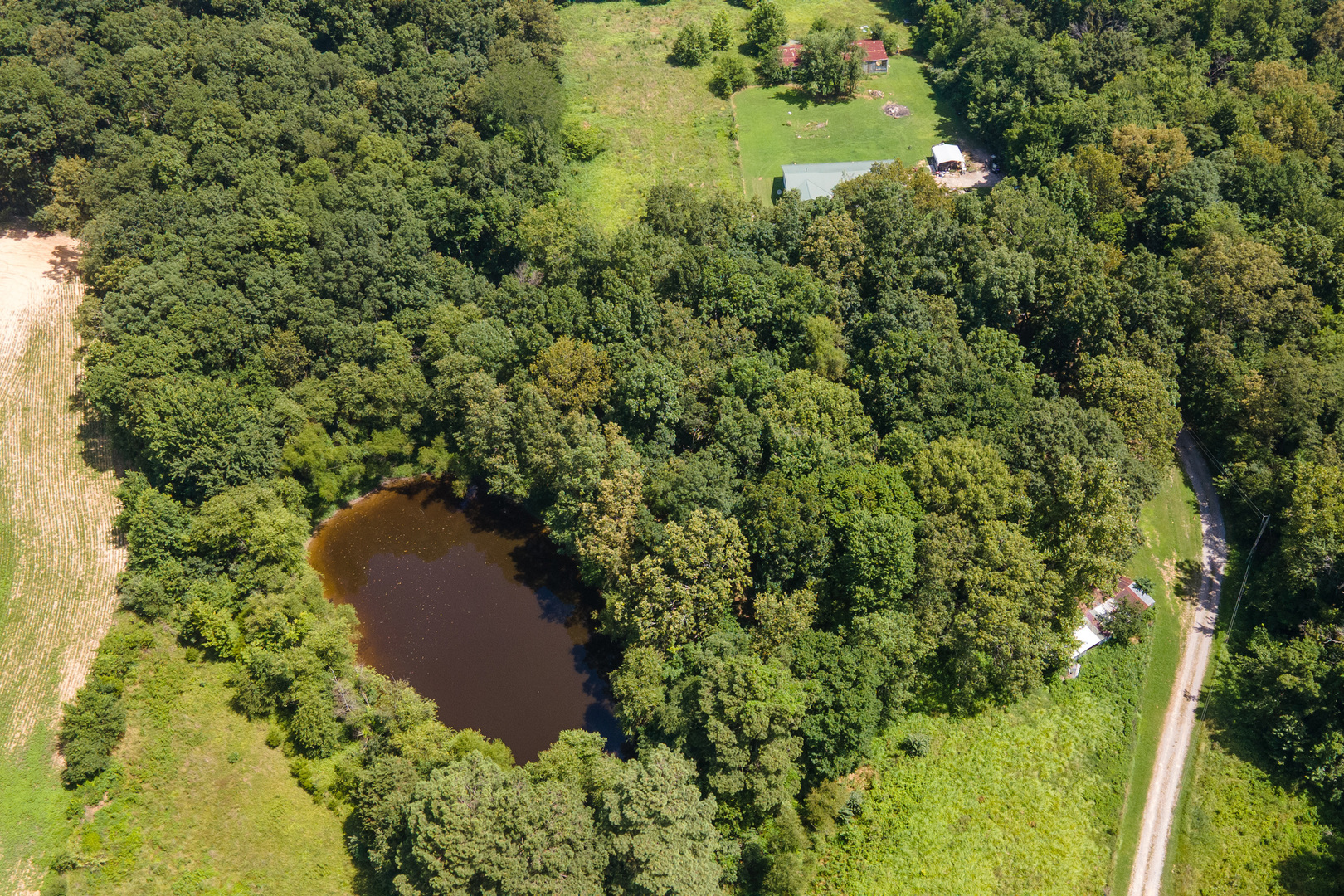 18680 Galatia Post Road Marion, IL 62959 - Photo 39 of 44
