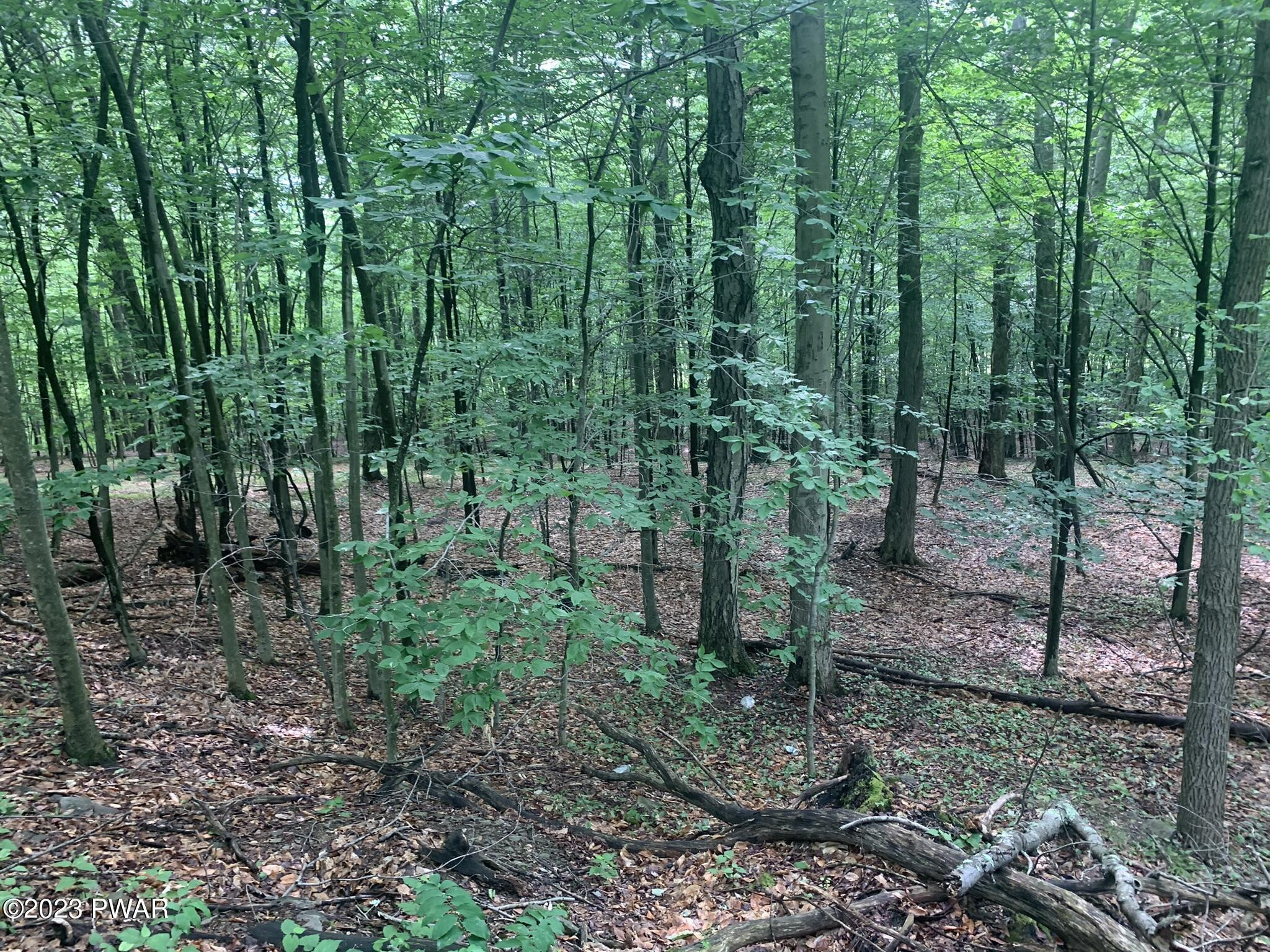 Lot 28 Murnin Rd Lake Lake Ariel, PA 18436 - Photo 7 of 11