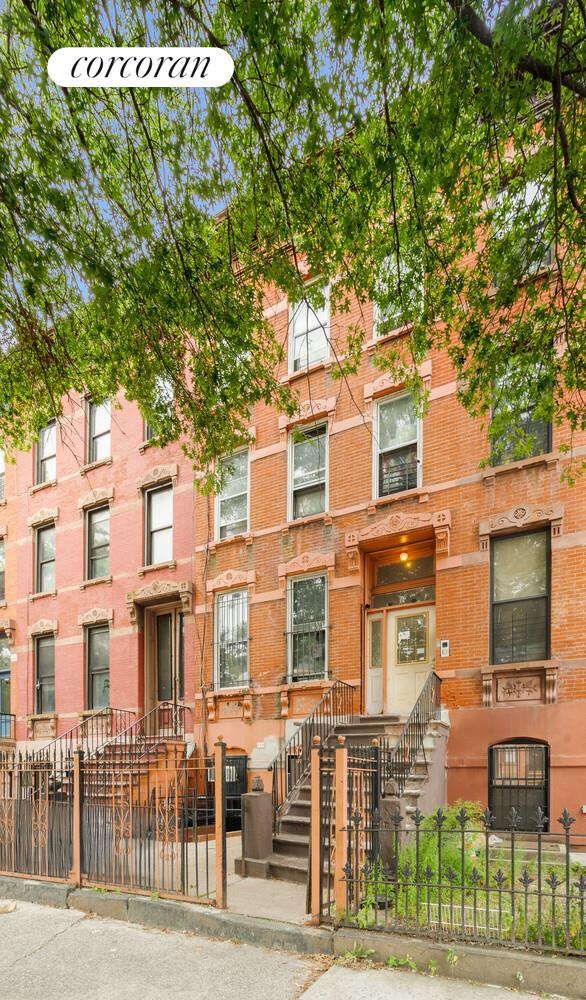 720 Quincy Street Brooklyn, NY 11221 - Photo 2 of 2 a front view of a building with glass windows and a tree