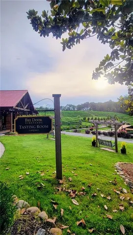 a view of a garden with a tree