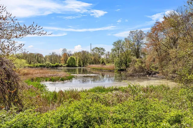 a view of a swimming pool with a patio and a yard
