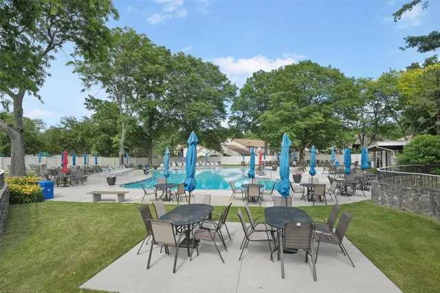 a view of a park with large trees