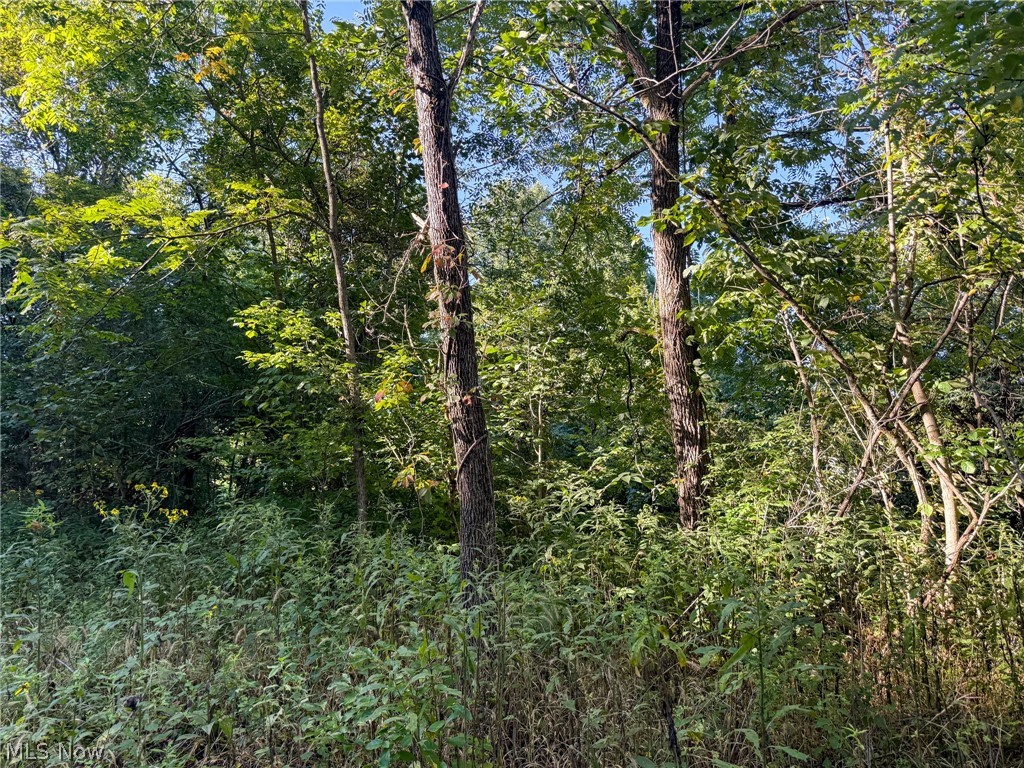 41298 Pleasant Ridge Road Graysville, OH 45734 - Photo 10 of 43 Gallery Image 10
