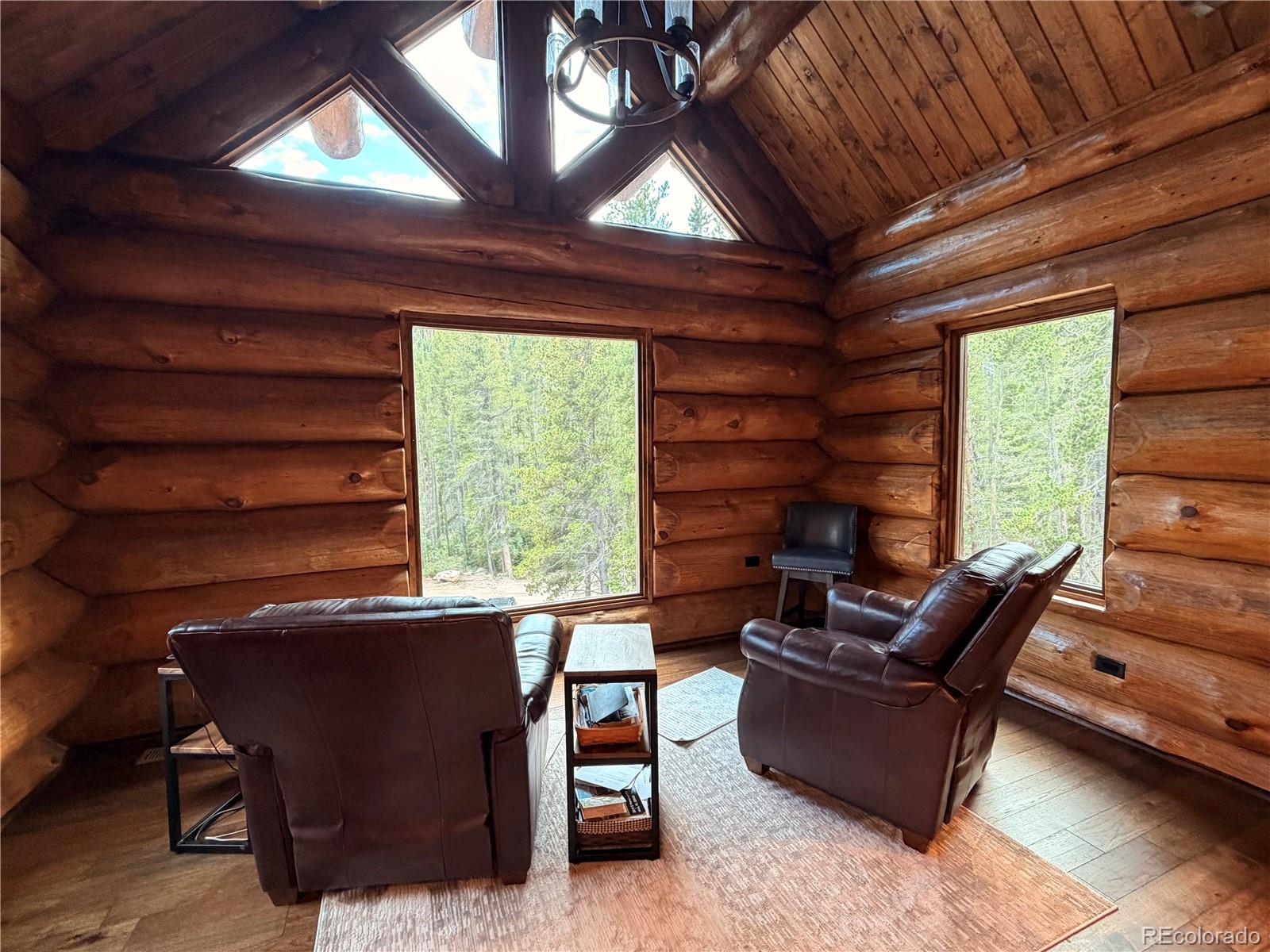 733 Rainbow Road Idaho Springs, CO 80452 - Photo 9 of 44 Gallery Image 9