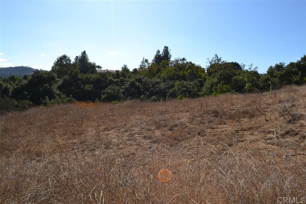40911 Vía Ranchitos Fallbrook, CA 92028 - Photo 14 of 25