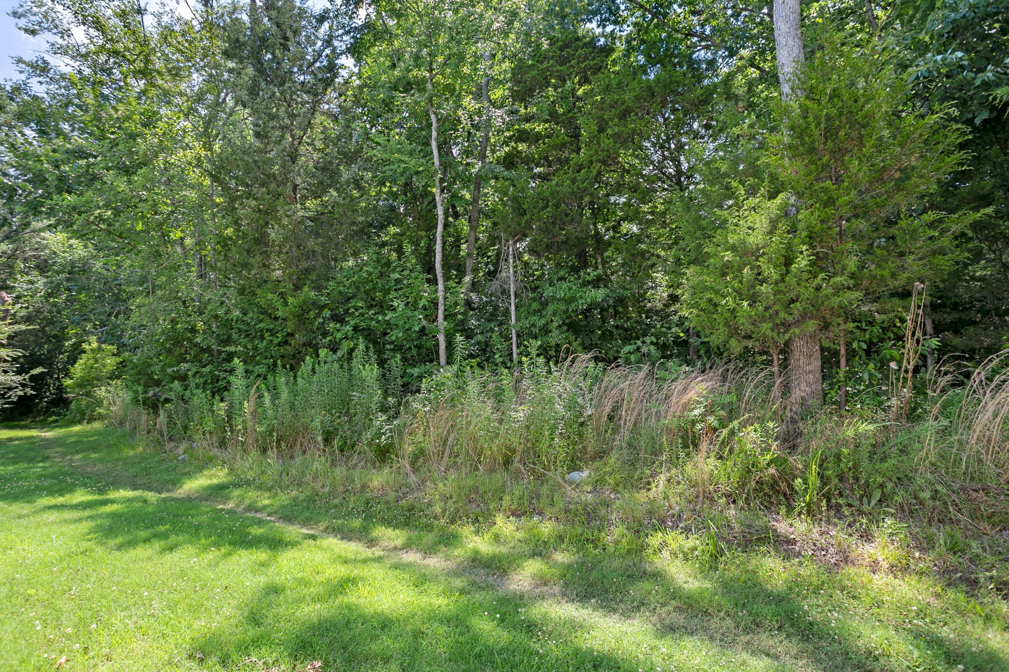 1076 Neeleys Bend East Spring Hill, TN 37174 - Photo 26 of 27 a view of outdoor space and green space