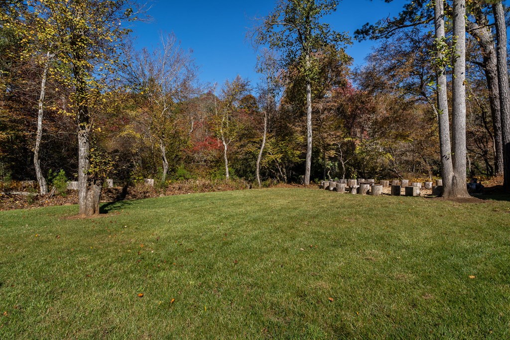 1248 Sunset Road Epworth, GA 30541 - Photo 49 of 66